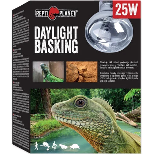 Bec pentru terariu ReptiPlanet Daylight Basking Spot 25W